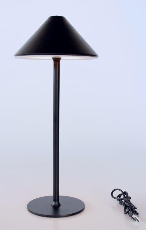 Led Black Lamp With Black Chinese Shade